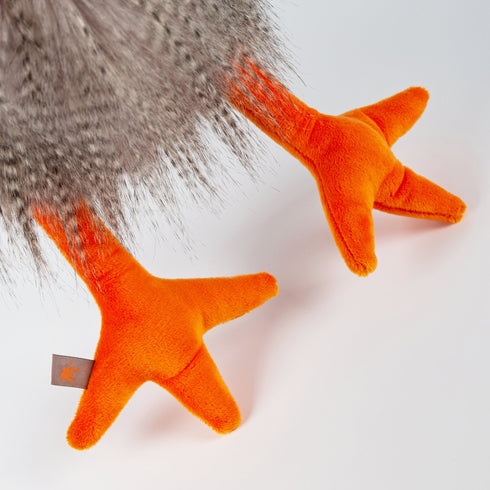 roost-boost--Sophia's Style--2